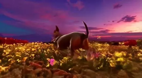 AI Video from prompt: My beautiful tri-color American Bully girl,  Sun