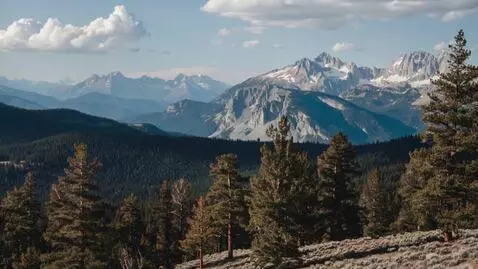 AI Video from prompt: a forest and mountains appear on the glitching s