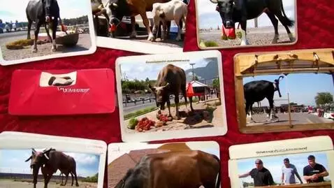 AI Video from prompt: Видео про испанию. праздники, жизнь, коррида, ед