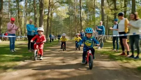 AI Video from prompt: Pe o alee de pădure scăldată de soare se desfășo