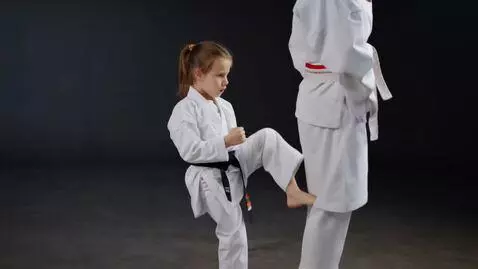 AI Video from prompt: karate girl,black belt,barefoot,kick