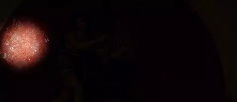 AI Video from prompt: The fresco is in complete darknes. The trembling