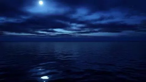 AI Video from prompt: Общее описание стиля: Реалистичный CGI или живоп