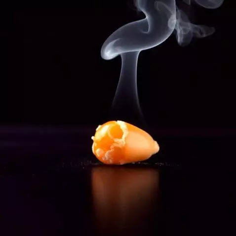 AI Video from prompt: Close-up of a corn grain heating up on a hot sur