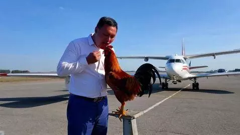 AI Video from prompt: Самолёт сбил петуха и водитель самолёта вышел и 