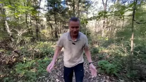 AI Video from prompt: a man does a backflip