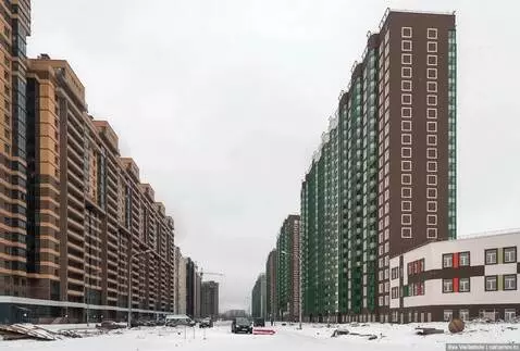 AI Video from prompt: A cinematic, hyper-realistic video shot on a pro