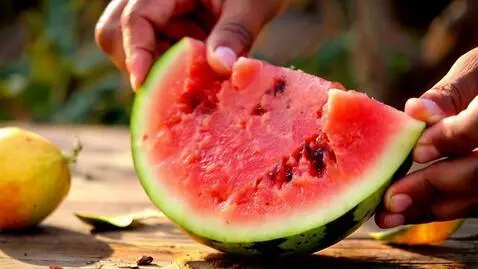 AI Video from prompt: Make a video of eating watermelon