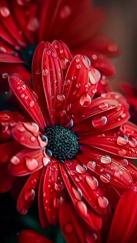 MiniMax Hailuo-02 (pro) video