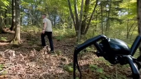 AI Video from prompt: a man runs into the forest, followed by a giant 