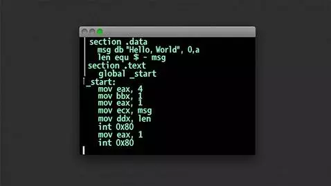AI Video from prompt: сделай анимацию ввода в консоль кода на nasm ass