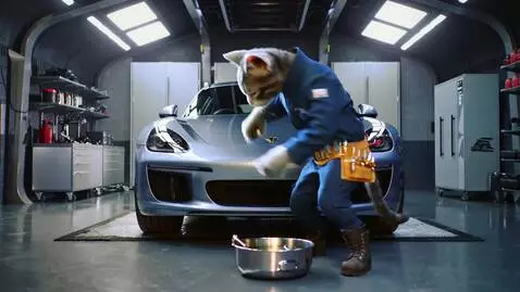 AI Video from prompt: A humanoid dark-striped cat wearing a mechanic’s