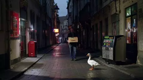 AI Video from prompt: в темном переулку стоит гусь и нему подходит муж