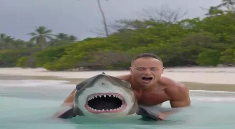 AI Video from prompt: Битва с акулой где побеждает человек на фото . Н