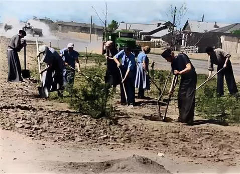 AI Video from prompt: Three women and four men in work clothes dig in 
