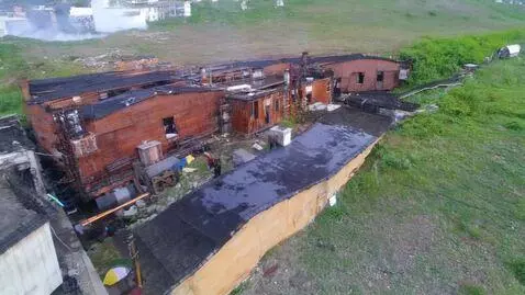 AI Video from prompt: Long tongues