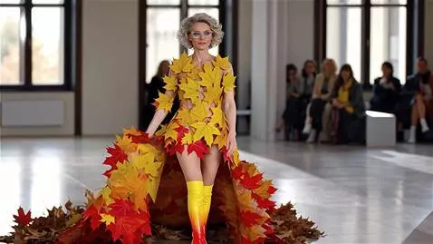 AI Video from prompt: Женщина, модель 40 лет, модельной внешности, кра