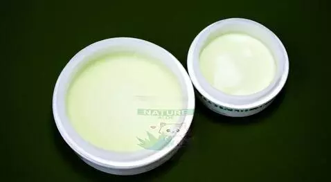 AI Video from prompt: The aloe vera plant sways gently, drops of water