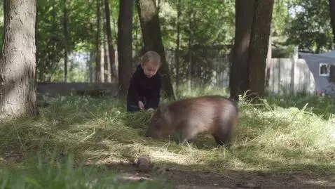 AI Video from prompt: Энергетикалық сусын – адамға күш береді деп ойла