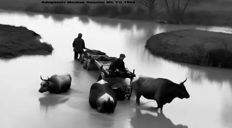 AI Video from prompt: Suda yürümek ve göç