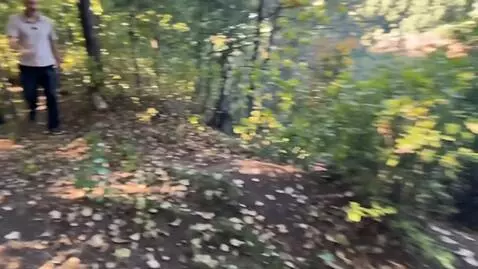 AI Video from prompt: a man in the frame jumps onto a nearby tree, and