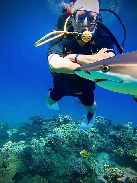 AI Video from prompt: Preserve the diver's pose, attire (black wetsuit