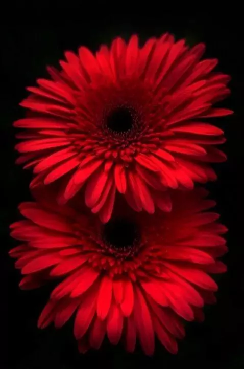 MiniMax Hailuo-02 (pro) video