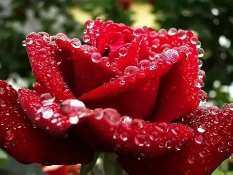 MiniMax Hailuo-02 (pro) video