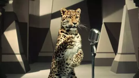 AI Video from prompt: Scene Description: A leopard gestures with its p