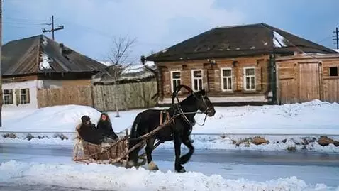 AI Video from prompt: A horse walks along the road, pulling an old-fas