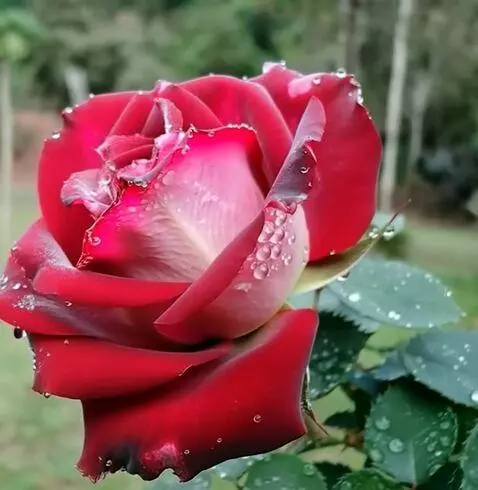 MiniMax Hailuo-02 (pro) video