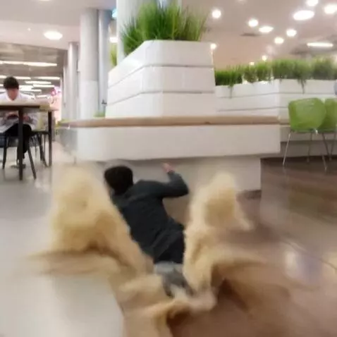 AI Video from prompt: this man is runs away from the camera but he bre