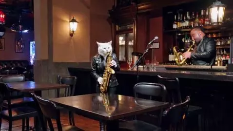 AI Video from prompt: At night, a bar is sitting at a table. A white f