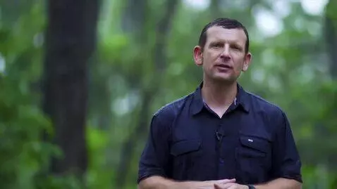 AI Video from prompt: Машина из будущего, на фоне джунглей во время до