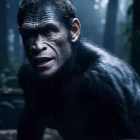 AI Video from prompt: fomo ape looks confused and wanders around in th