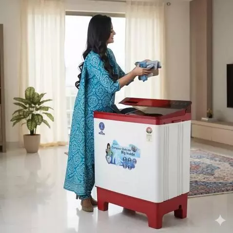 AI Video from prompt: Create video in this video for home used