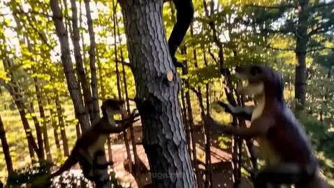 AI Video from prompt: a man climbs to the top of a tree, the dinosaurs