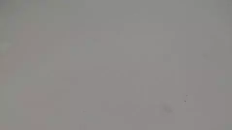 AI Video from prompt: bouncing boobs