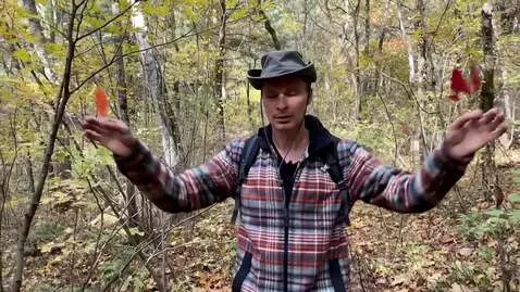 AI Video from prompt: a man is dancing a dance, waving his arms and ma