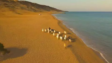 AI Video from prompt: Это звучит как яркое и динамичное изображение. П