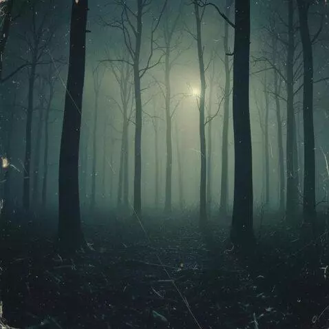 AI Video from prompt: Kameranın yavaşça ilerlediği, yoğun sisle kaplı 