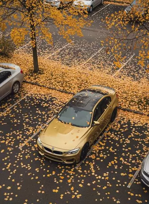 AI Video from prompt: A cinematic slow-motion zoom-in shot, starting f