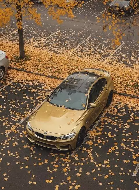 AI Video from prompt: A cinematic slow-motion zoom-in shot, starting f