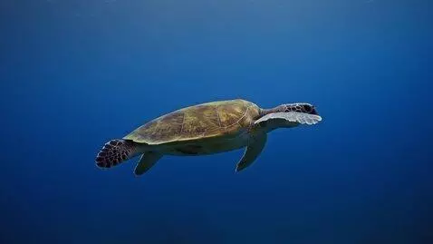 AI Video from prompt: Супер 💎 Отже, фінально фіксуємо технічне завданн