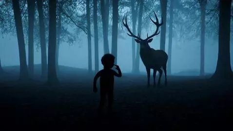 AI Video from prompt: wide shot, Roblox character in a dark forest, no