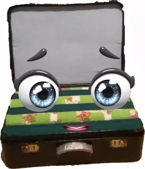 AI Video from prompt: Рот чемодана плавно открывается/закрывается в та