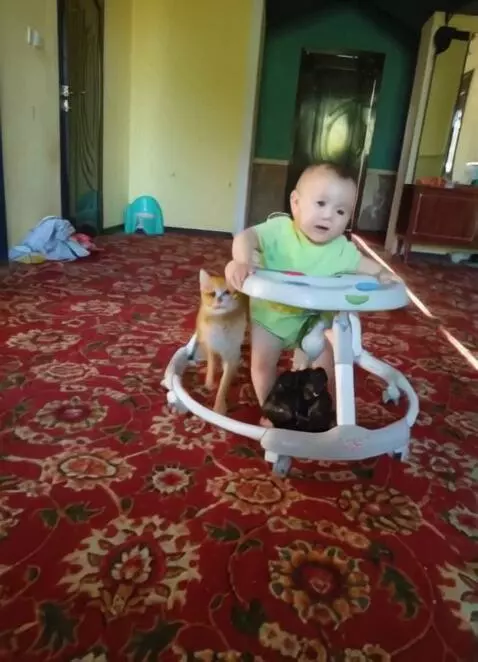 AI Video from prompt: A cute orange kitten and a smiling baby are danc