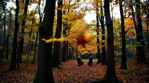 AI Video from prompt: As leaves fall from the sky, the camera zooms in