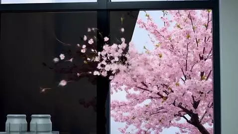 AI Video from prompt: An office worker closes his eyes by the window. 