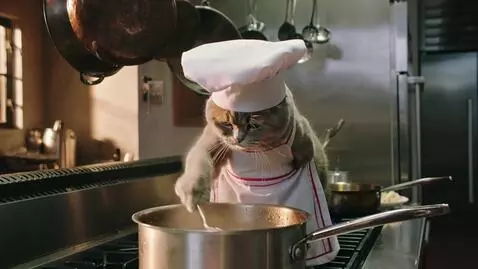 AI Video from prompt: video of a kitchen in which a grey cat is cookin